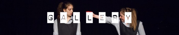 Write Here, Write Now Gallery Link